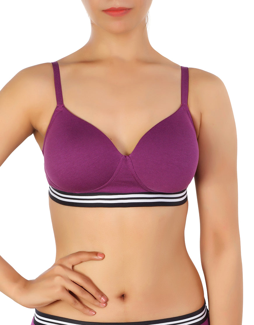 Pack of 3, LIGHTLY PADDED NON WIRED TSHIRT BRA WITH STRIPED ELASTIC WAIST BAND-PURPLE