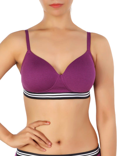 Pack of 3, LIGHTLY PADDED NON WIRED TSHIRT BRA WITH STRIPED ELASTIC WAIST BAND-PURPLE