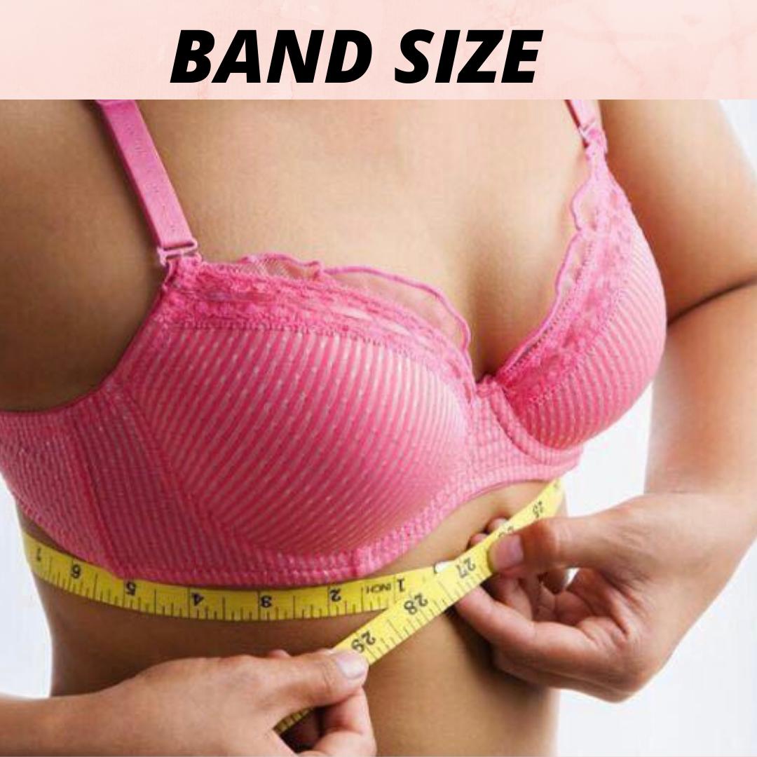 Pack of 3, LIGHTLY PADDED NON WIRED T SHIRT BRA-PLUM